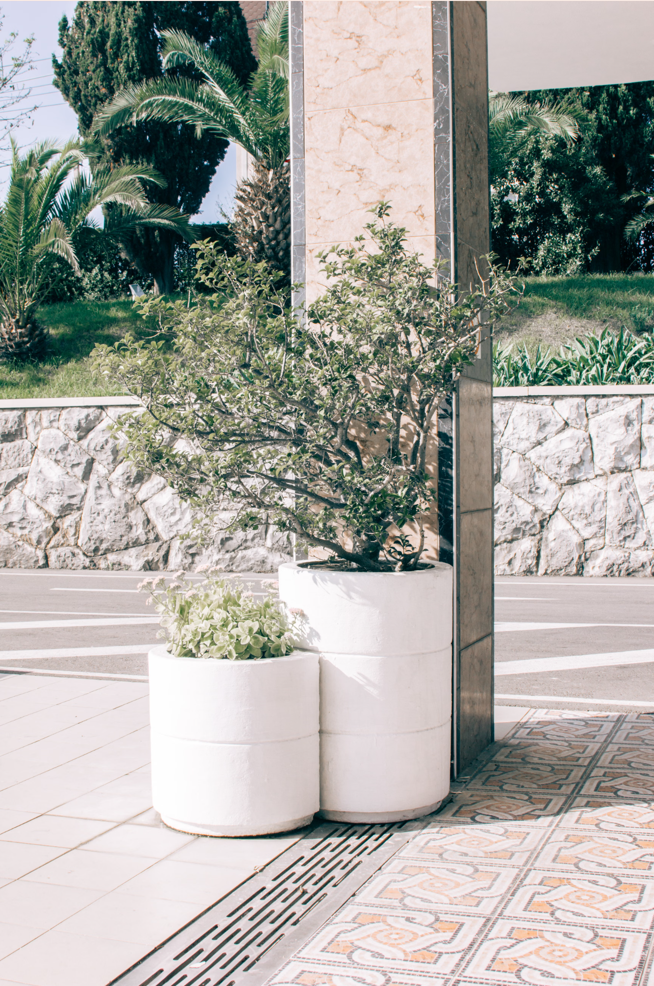 A minimalist garden courtyard with stone path and structured greenery